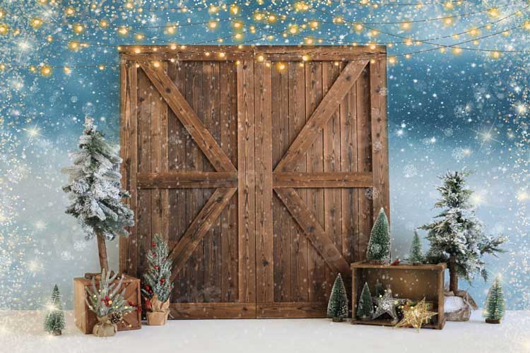 Kate Navidad Puerta de madera Telón de fondo para fotografía