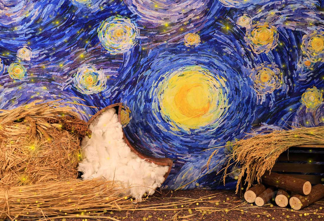 Kate Noche de verano Cielo estrellado Telón de fondo para fotografía