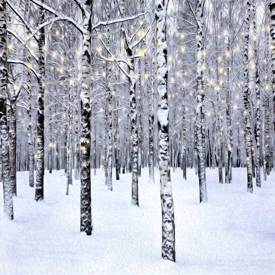 Kate Navidad Campo de nieve Bosque Telón de fondo para fotografía