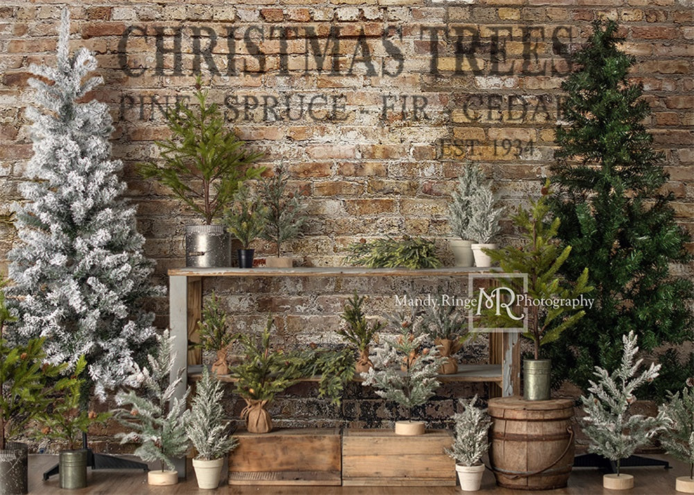 Kate Fondo de árbol fresco de granja de Navidad diseñado por Mandy Ringe Photography