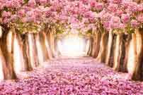 Katebackdrop：Kate Pink Flower Tree Path Spring Backdrop for Wedding Photography