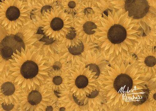 Katebackdrop£ºKate Sunflowers Symphony Backdrop Designed by Modest Brushes