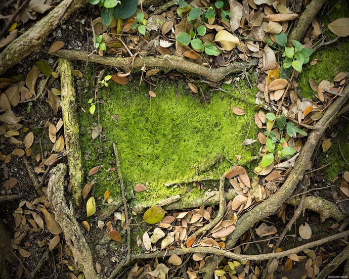 Katebackdrop¡êoKate Forest Branches Leaves rubber floor mat