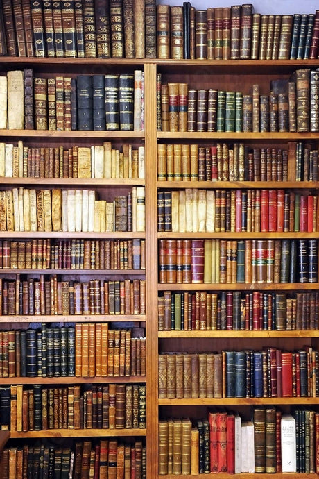 Kate Estantería Biblioteca De vuelta a la escuela graduación Telón de fondo para fotografía
