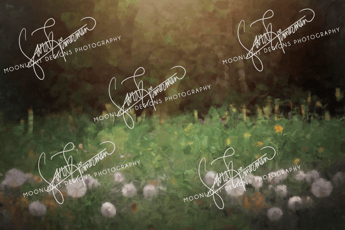 Katebackdrop£ºKate Summer Dandelions Backdrop for Photography Designed by Sarah Timmerman