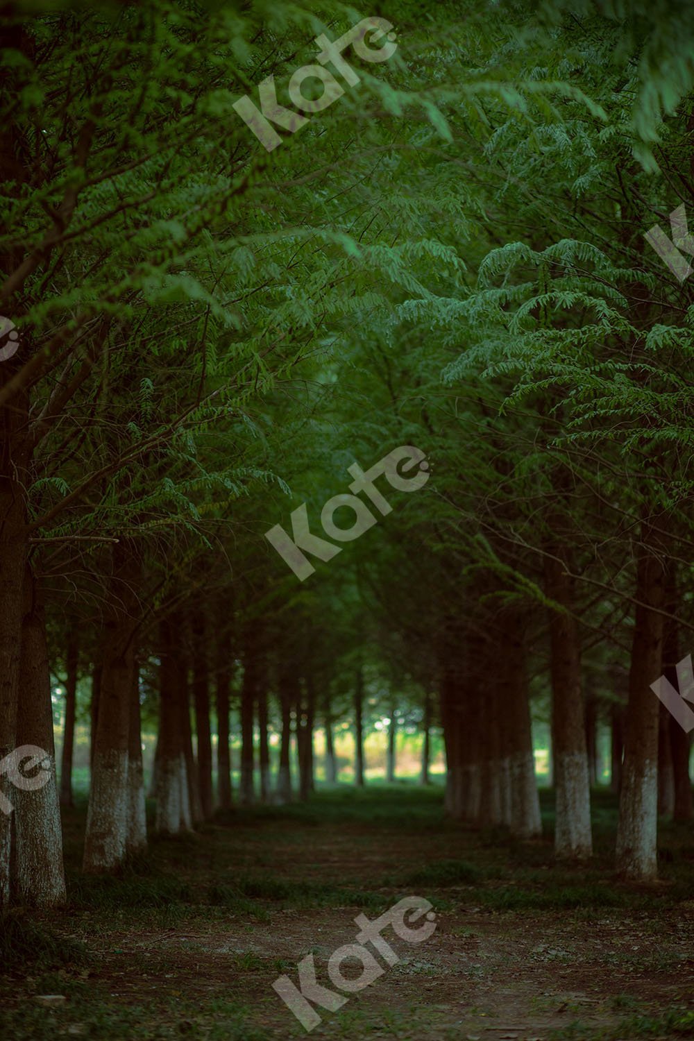 Kate Telón de fondo de verano Camino forestal diseñado por Emetselch