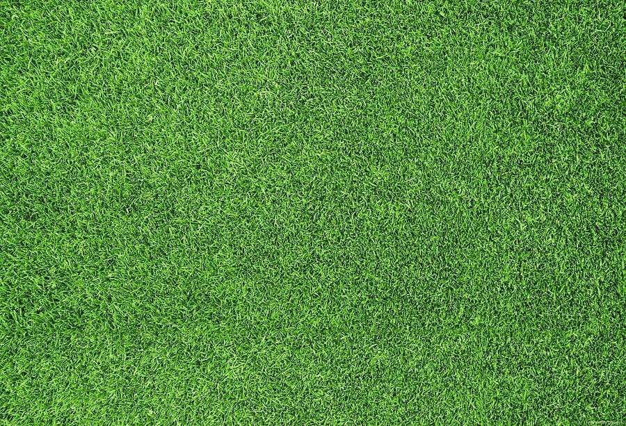 Katebackdrop¡êoKate Green Grassland Spring/Easter Rubber Mat Floor Drop