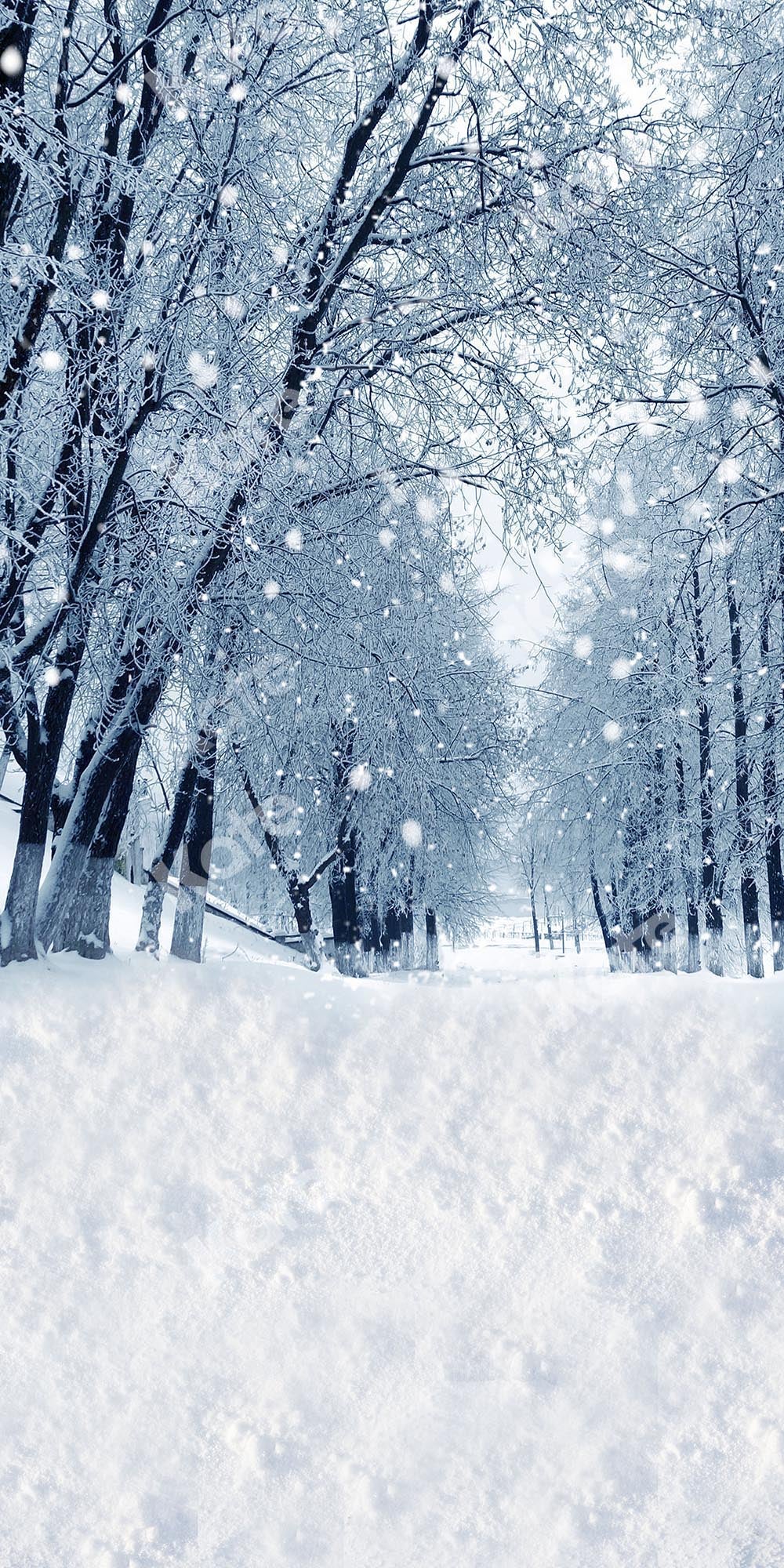 Kate Fondo de bosque de nieve de invierno / Navidad de barrido diseñado por Chain Photography