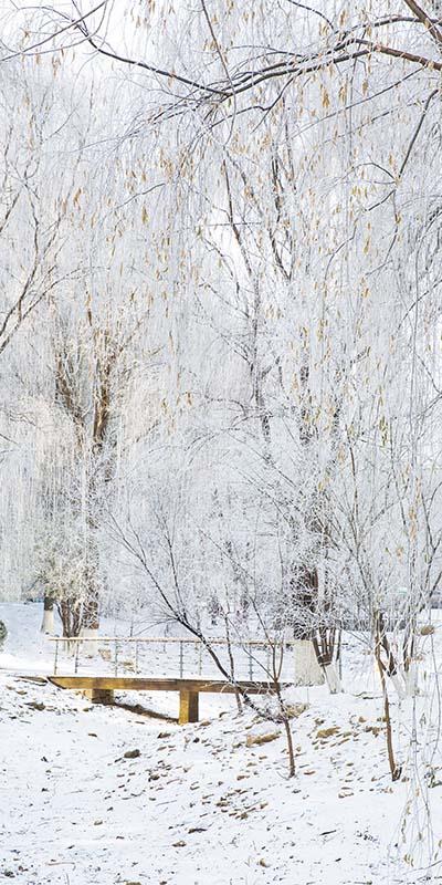Kate Fondo de bosque de escena de nieve de invierno diseñado por Emetselch