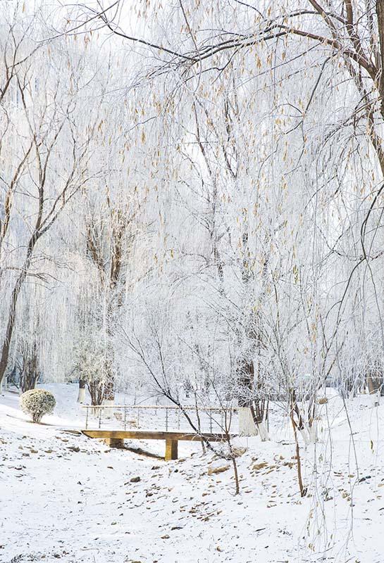 Kate Fondo de bosque de escena de nieve de invierno diseñado por Emetselch