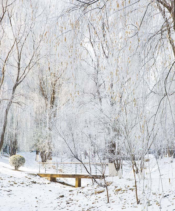 Kate Fondo de bosque de escena de nieve de invierno diseñado por Emetselch