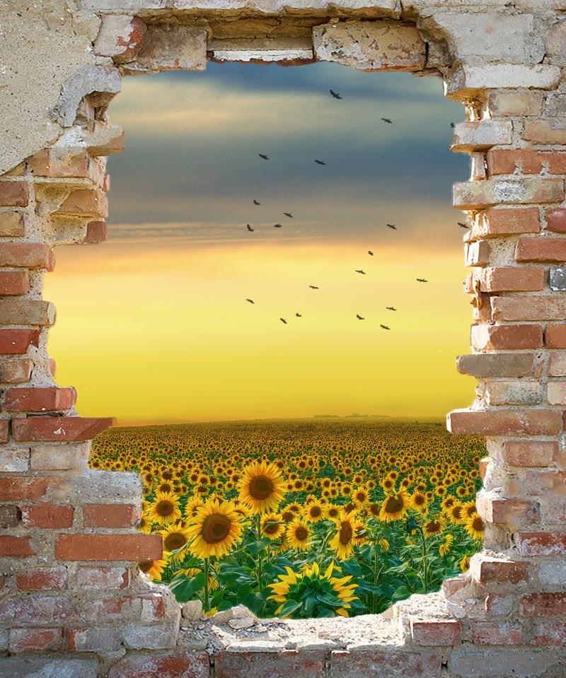 Kate Fondo de girasol de pared lamentable