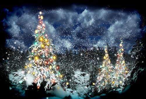 Katebackdrop：Kate Frozen Winter Christmas Snowy Trees Backdrop for Photography