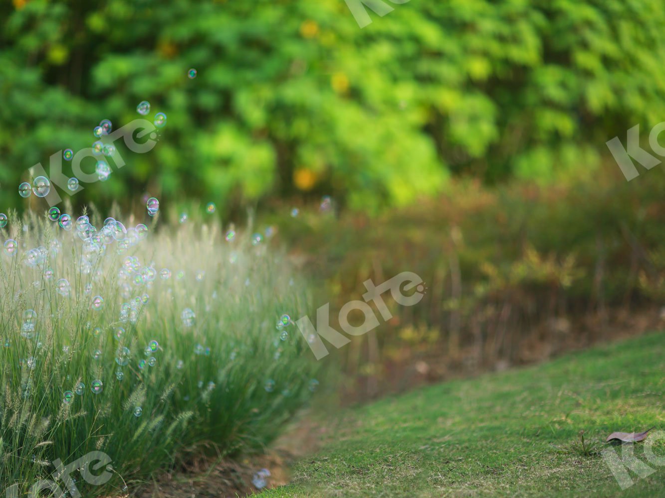 Kate Telón de fondo de hierba de primavera al aire libre para fotografía