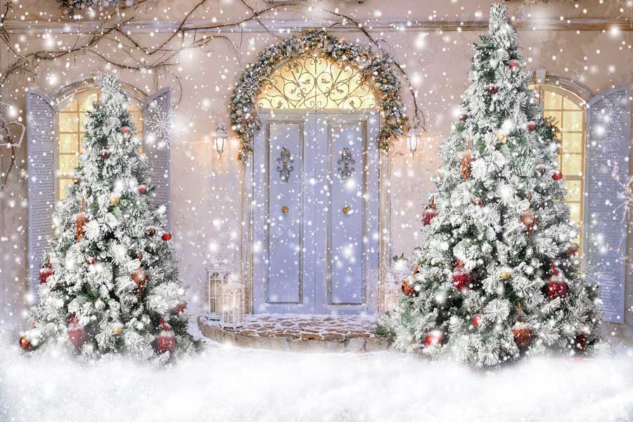 Kate Telón de fondo de nieve frontal de puerta de Navidad para fotografía