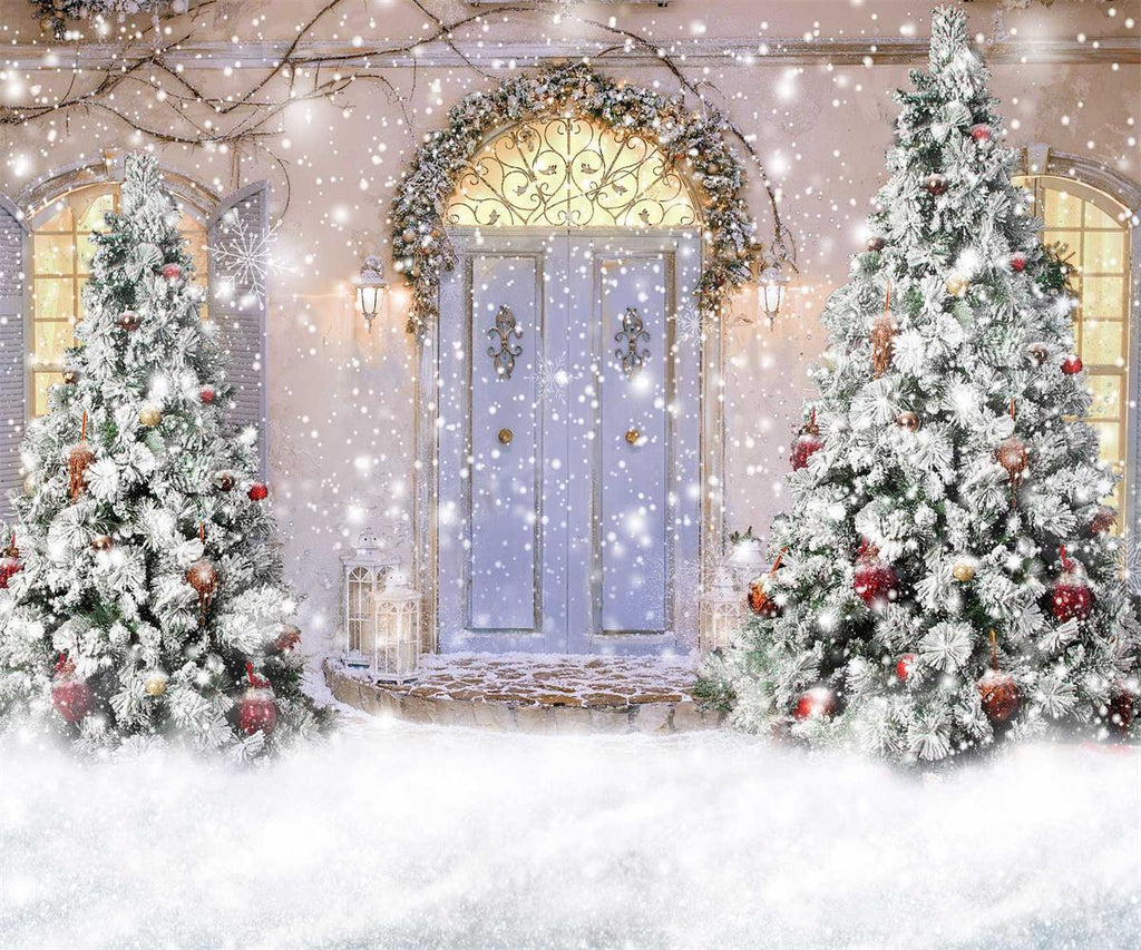 Kate Telón de fondo de nieve frontal de puerta de Navidad para fotografía