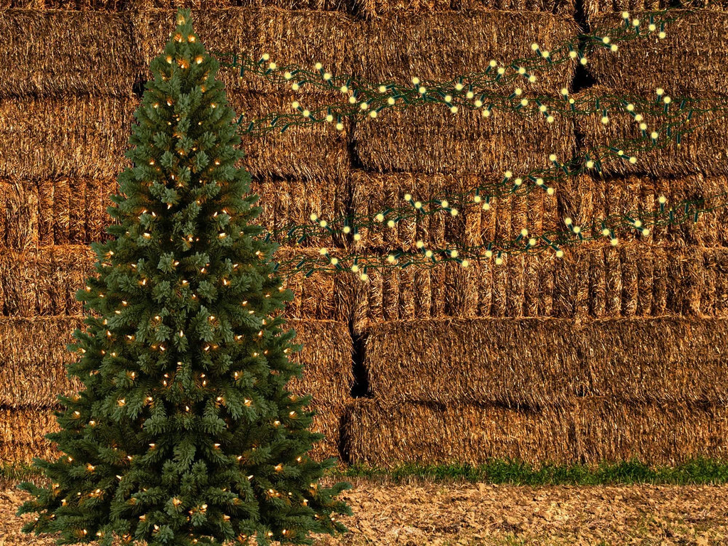 Katebackdrop£ºKate Autumn Pine Trees Haystack Backdrop Designed By Jerry_Sina