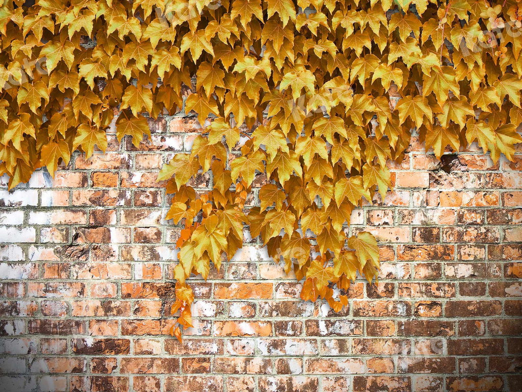 Kate Pared de ladrillo de telón de fondo de otoño con enredaderas amarillas diseñadas por JS Photography