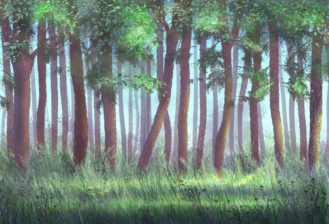 Katebackdrop：Kate Spring Green Trees Grass Deep Forest Backdrop