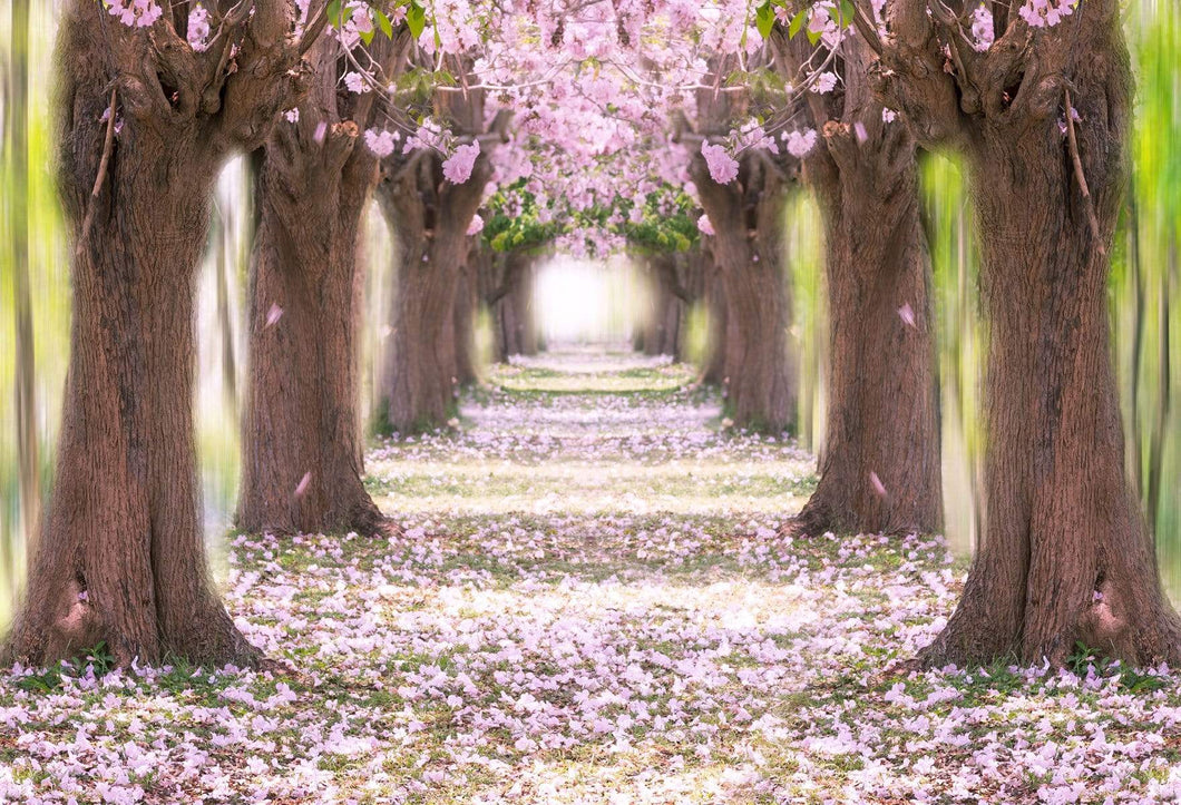 Katebackdrop：Kate Pink Flower Path Backdrop for Wedding Backdrop Spring