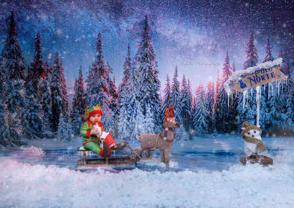 Kate Navidad Bosque nevado Telón de fondo para fotografía