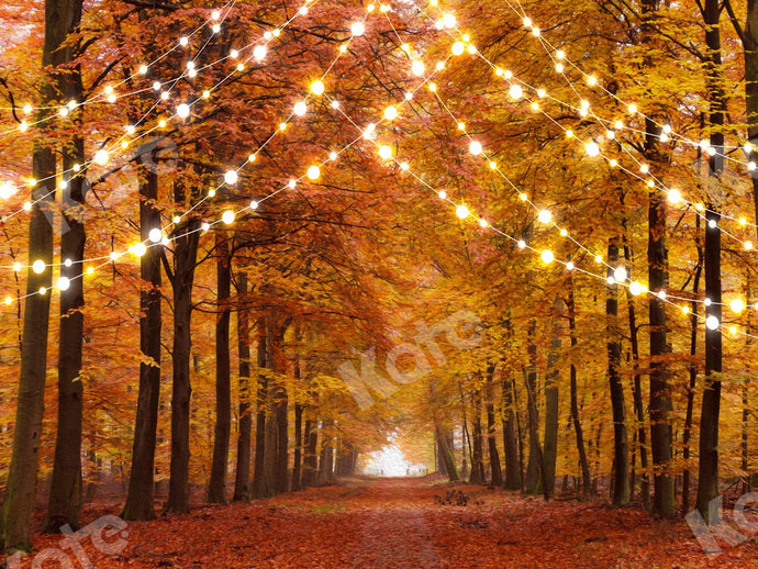 Kate Camino forestal de fondo de otoño con luces para fotografía