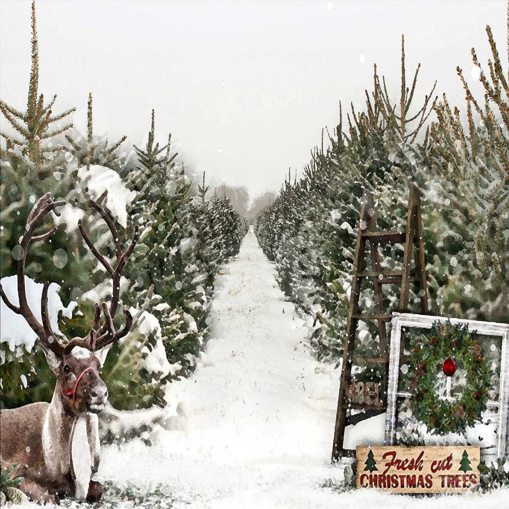 Kate Telón de fondo de venta de árboles de Navidad para fotografía