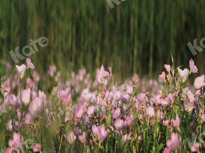 Kate Telón de fondo de primavera de flores rosadas de jardín  por Jia Chan Photography