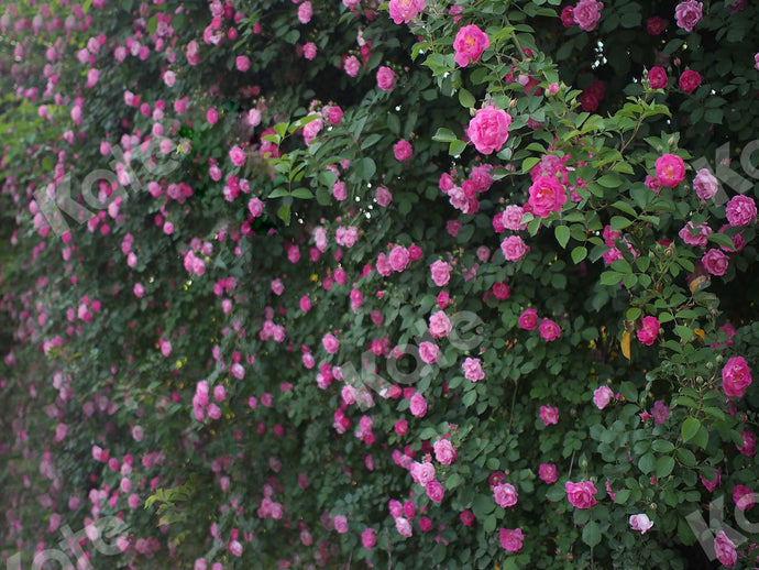 Kate Fondo de pared de flores de rosas de primavera diseñado por Jia Chan Photography