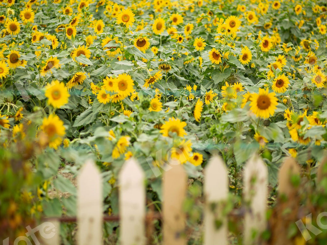 Kate Telón de fondo de primavera de jardín de girasoles de Jia Chan Photography