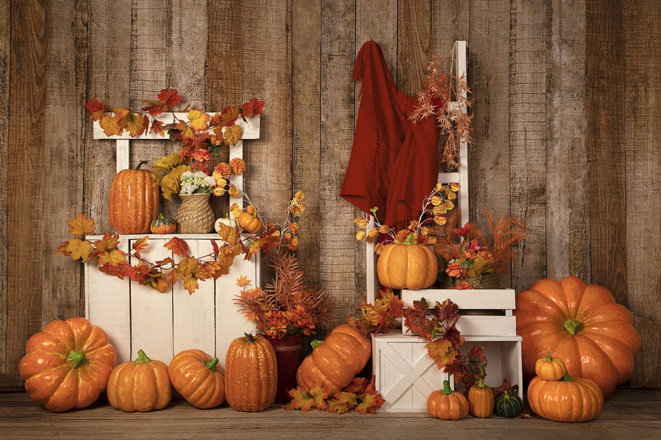 Kate Fondo de soporte de calabazas de Halloween de otoño / Acción de Gracias diseñado por Jia Chan Photography
