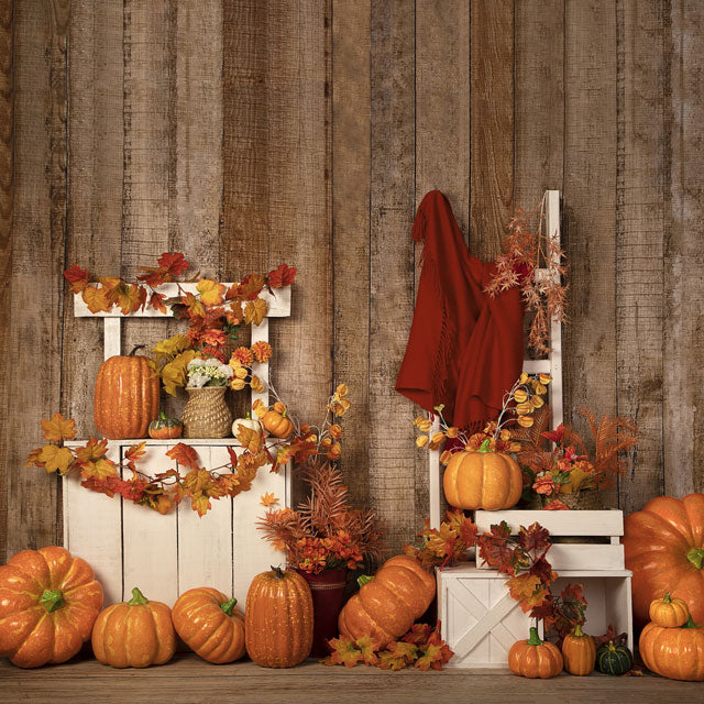 Kate Fondo de soporte de calabazas de Halloween de otoño / Acción de Gracias diseñado por Jia Chan Photography