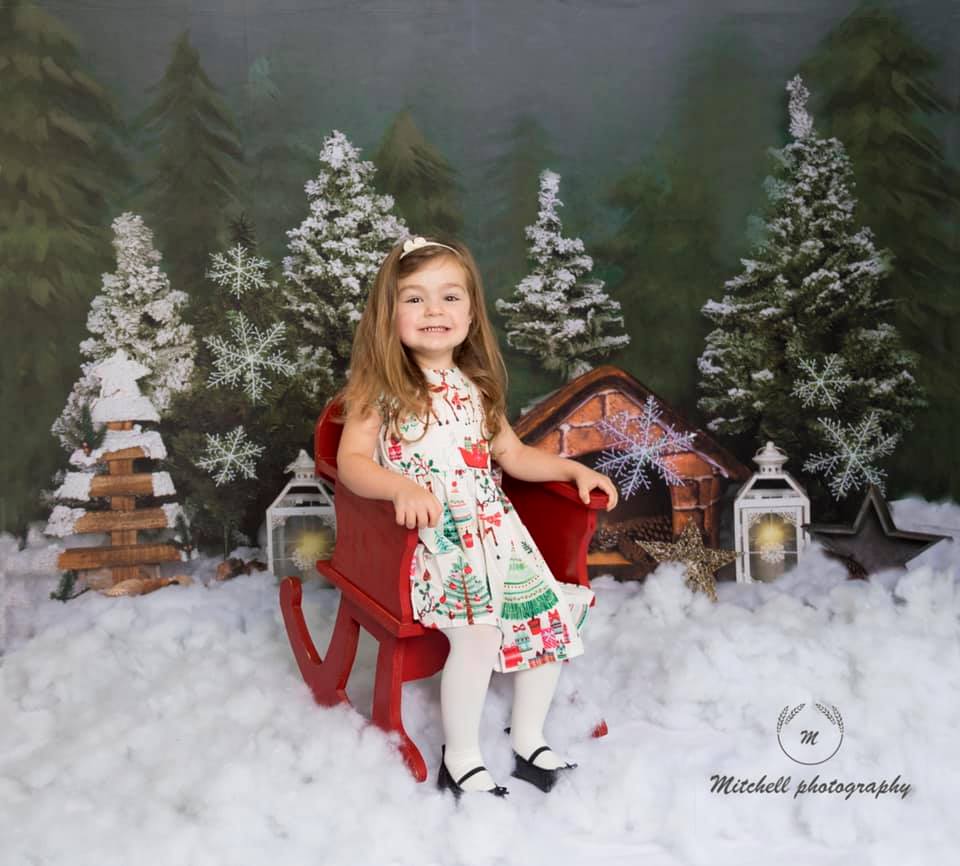 Kate Fondo de Navidad del bosque de nieve diseñado por Jia Chan Photography