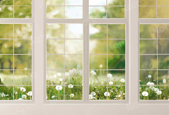 Kate primavera ventana flor Telón de fondo para fotografía diseñado por Emetselch