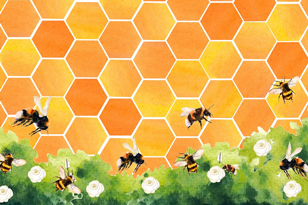 Cargar imagen en el visor de la galería, Kate Telón de fondo de abeja en forma de panal diseñado por GQ