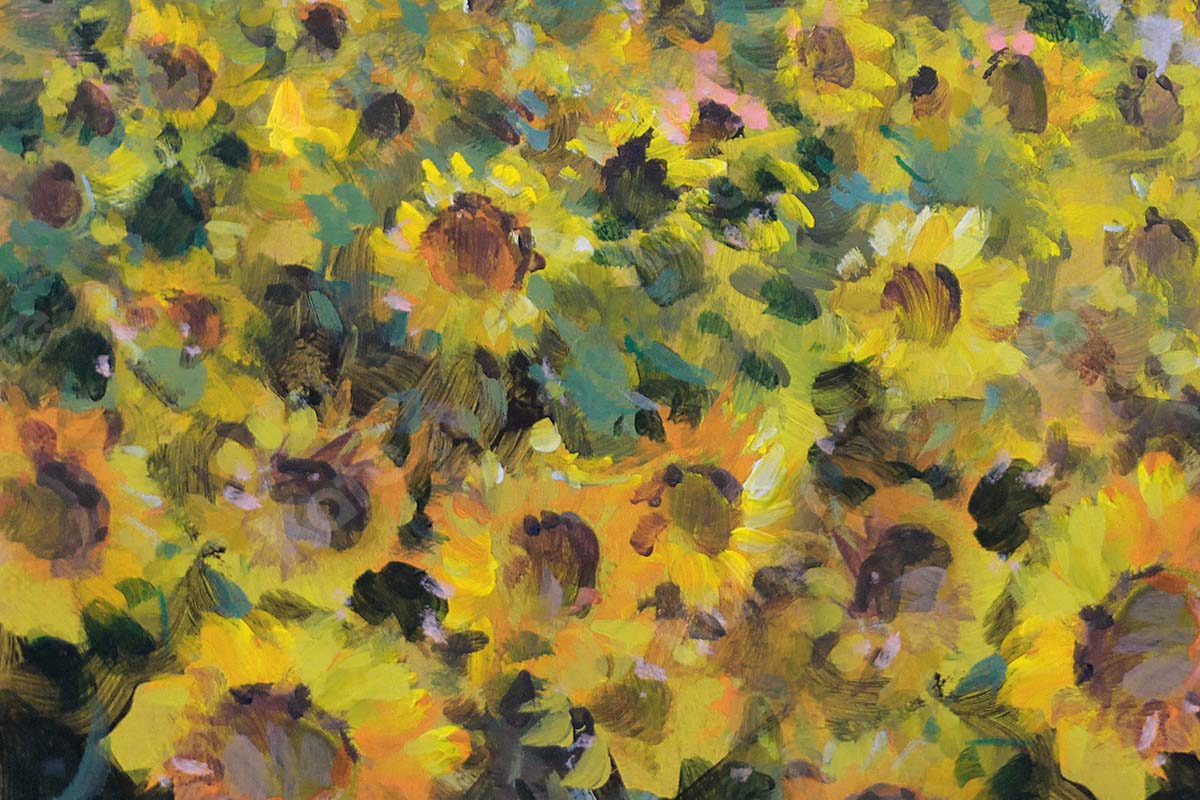 Cargar imagen en el visor de la galería, Kate Fine Art Telón de fondo de campo de girasol floral diseñado por GQ