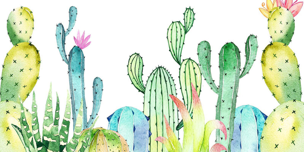 Kate Fondo de cumpleaños de verano cactus Cake Smash Fine Art diseñado por Chain Photography
