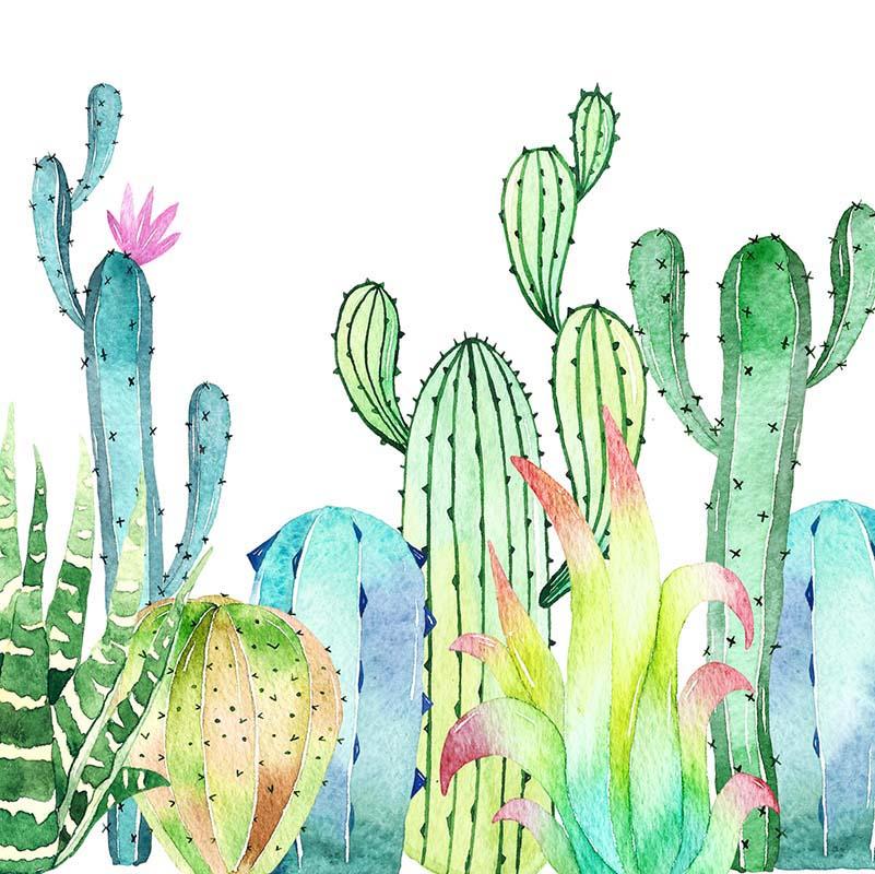 Kate Fondo de cumpleaños de verano cactus Cake Smash Fine Art diseñado por Chain Photography