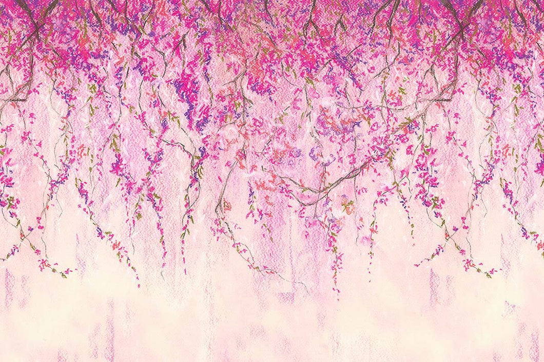 Kate Primavera rosa flores bellas artes violetas telón de fondo diseñado por Chain Photography