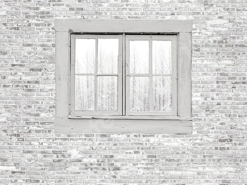 Kate Telón de fondo de ladrillo con ventana blanca diseñado por Chain Photography