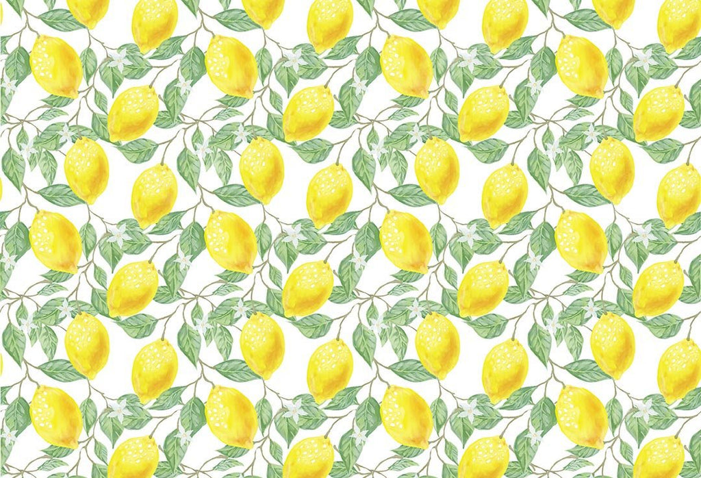 Kate Fondo amarillo de limones frescos de primavera / verano diseñado por Chain Photography