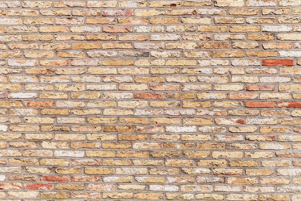 Kate Telón de fondo de pared de ladrillo de colores primarios diseñado por Kate Image