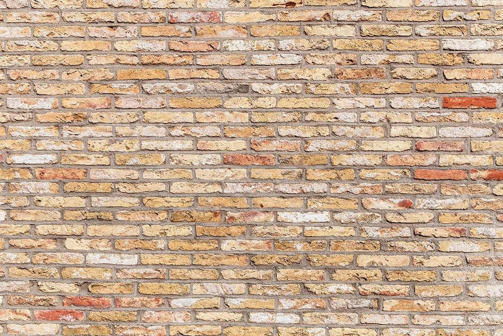 Kate Telón de fondo de pared de ladrillo de colores primarios diseñado por Kate Image