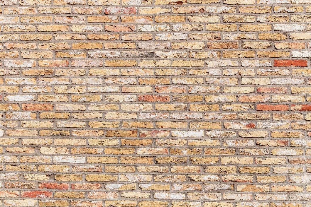 Kate Telón de fondo de pared de ladrillo de colores primarios diseñado por Kate Image