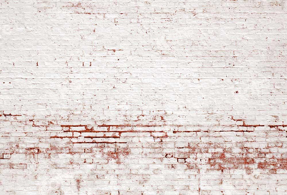 Kate Retro Pared de ladrillo blanco angustiado Telón de fondo para fotografía diseñado por Kate Image