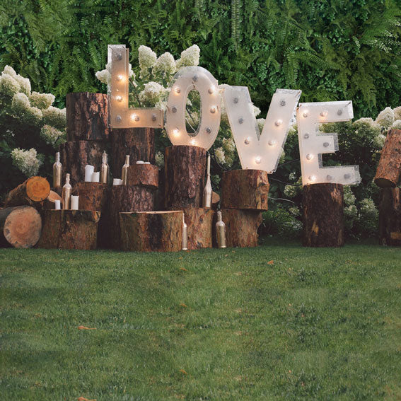 Kate Telón de fondo de primavera amor de San Valentín para fotografía de boda
