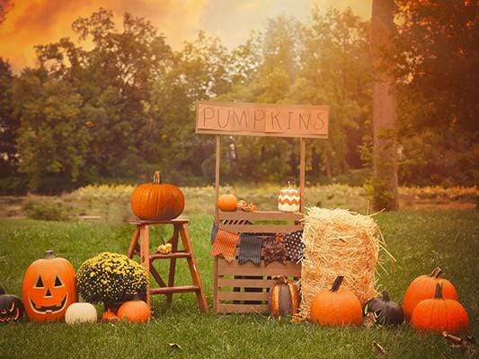 Katebackdrop：Kate Halloween Photography Backdrop For Party Pumpkins Grassland