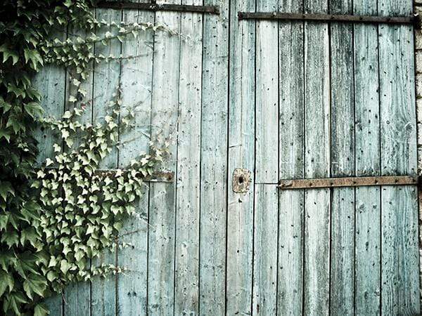 Katebackdrop：Kate Old Barn Door Spring Backdrop for Children Photography