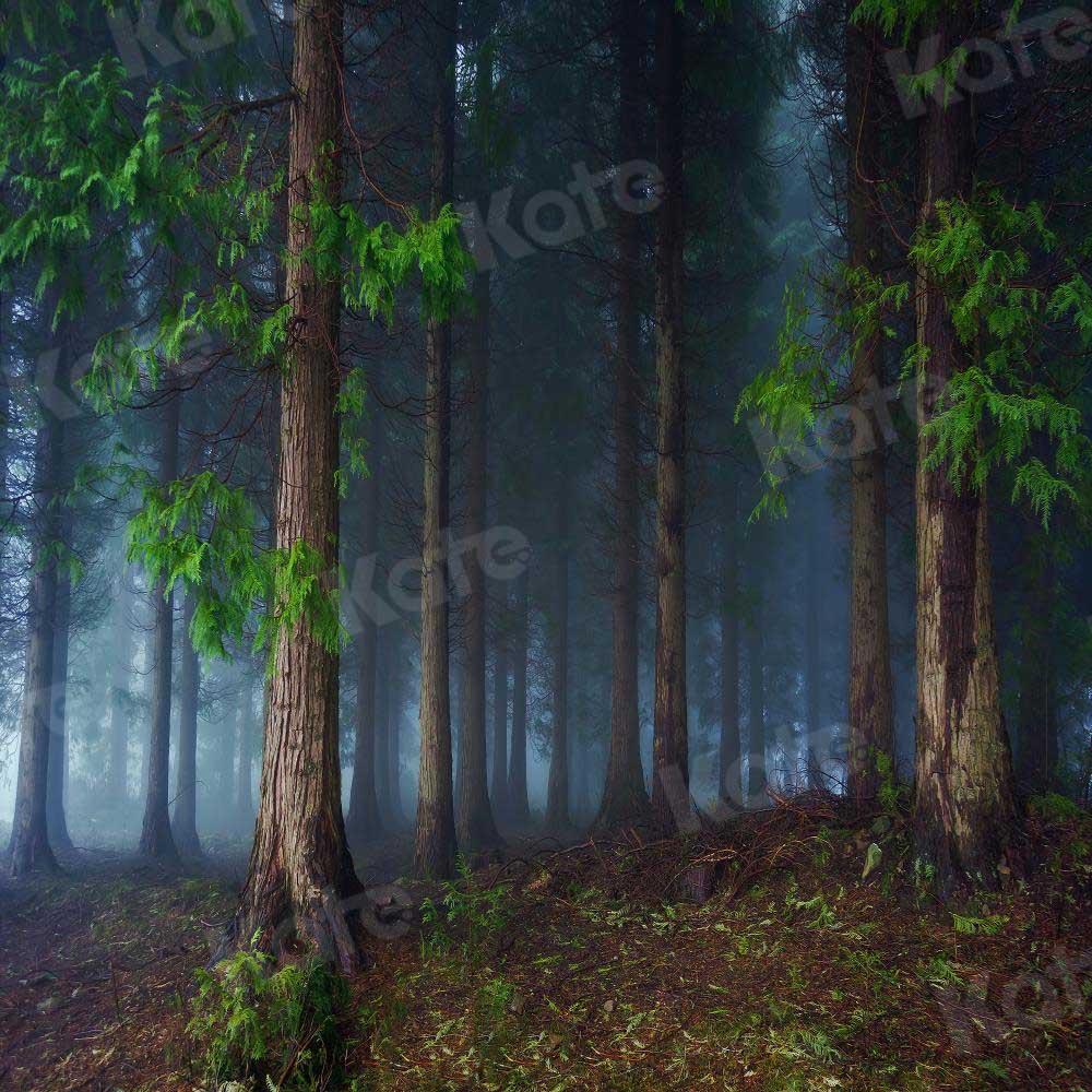 Kate Pascua bosque mágico telón de fondo para Fotografía