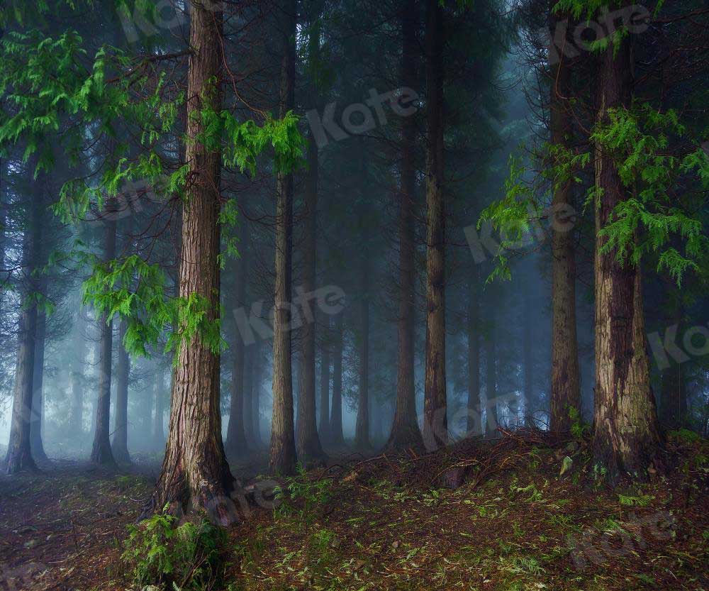 Kate Pascua bosque mágico telón de fondo para Fotografía